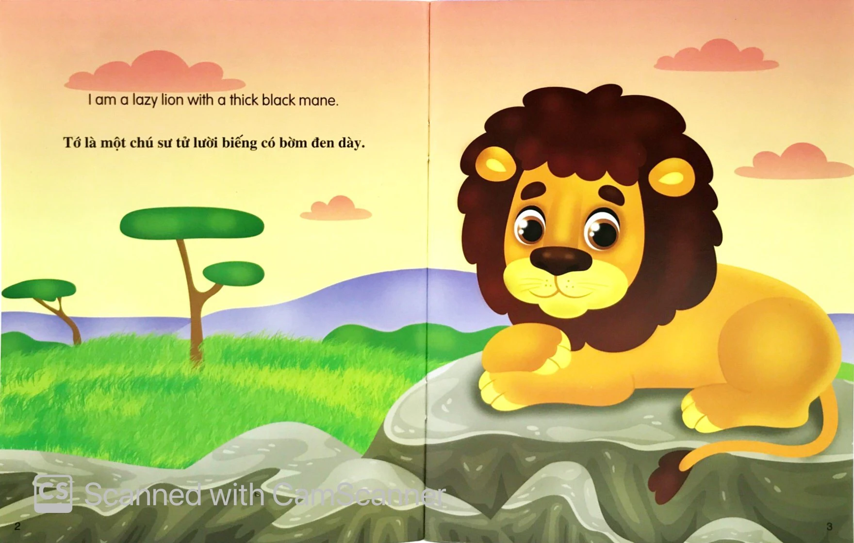 những câu chuyện về thế giới động vật - tớ là một chú sư tử - i am a lion (song ngữ anh-việt) - Ảnh 2