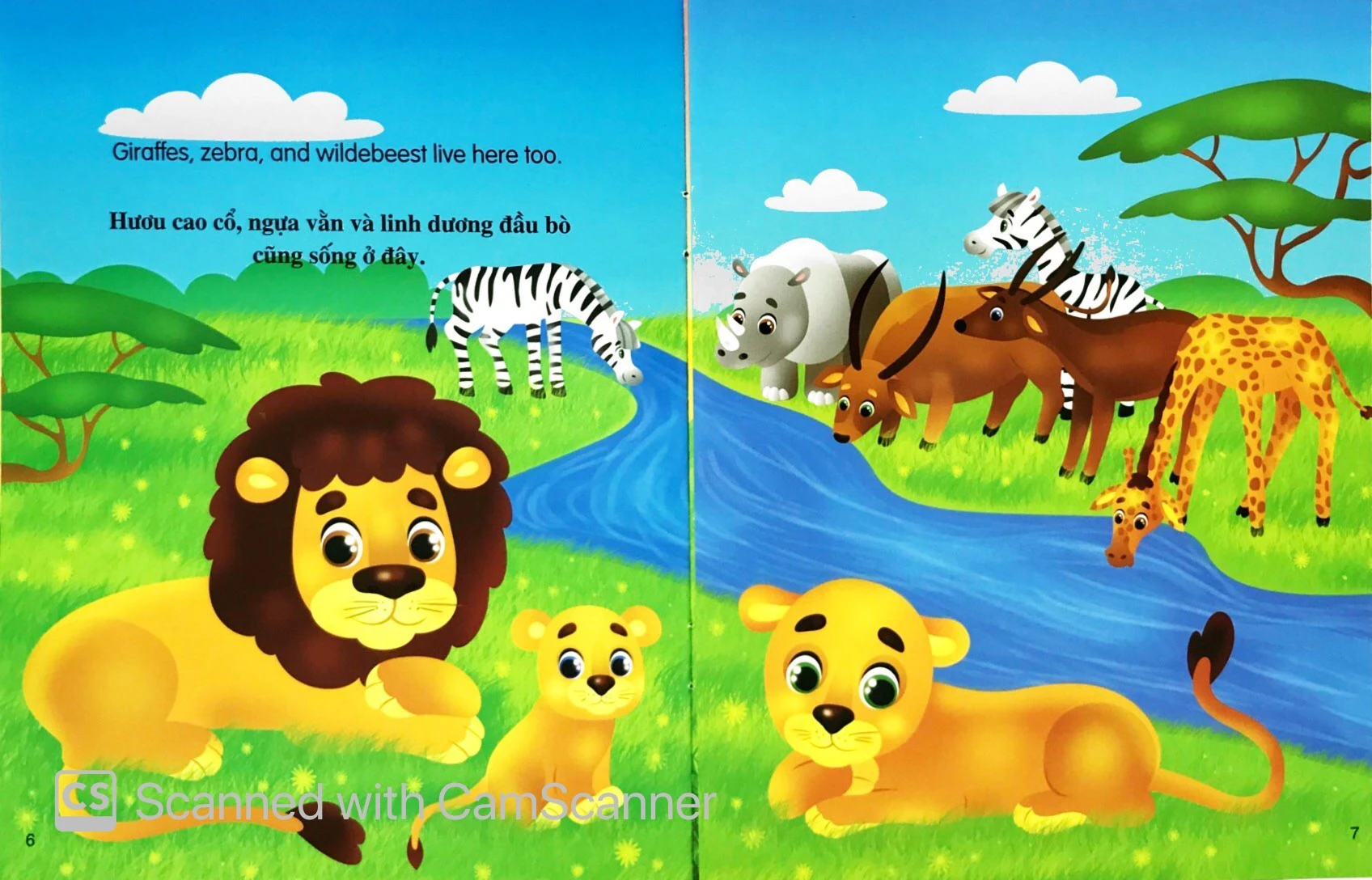 những câu chuyện về thế giới động vật - tớ là một chú sư tử - i am a lion (song ngữ anh-việt) - Ảnh 3