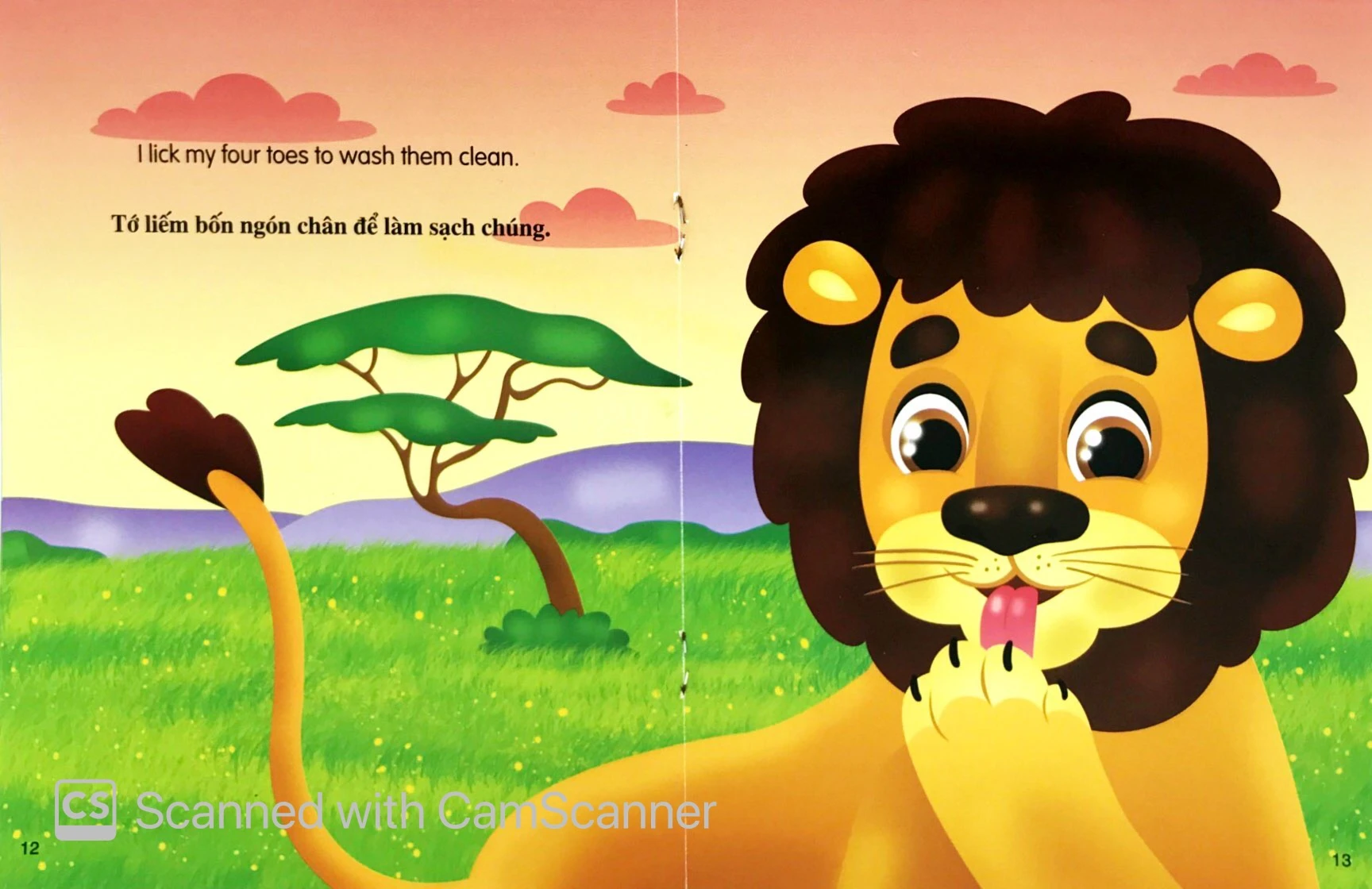 những câu chuyện về thế giới động vật - tớ là một chú sư tử - i am a lion (song ngữ anh-việt) - Ảnh 5