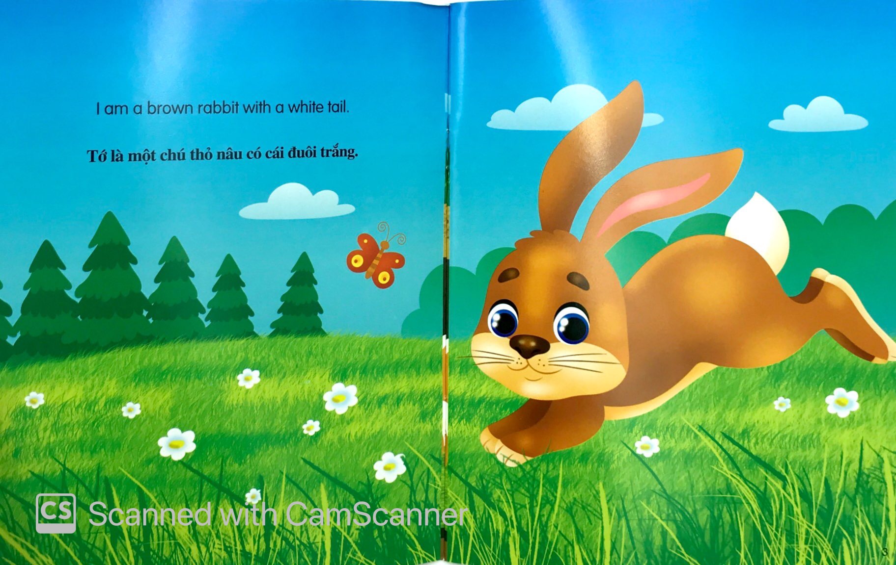 những câu chuyện về thế giới động vật - tớ là một chú thỏ - i am a rabbit (song ngữ anh-việt) - Ảnh 2