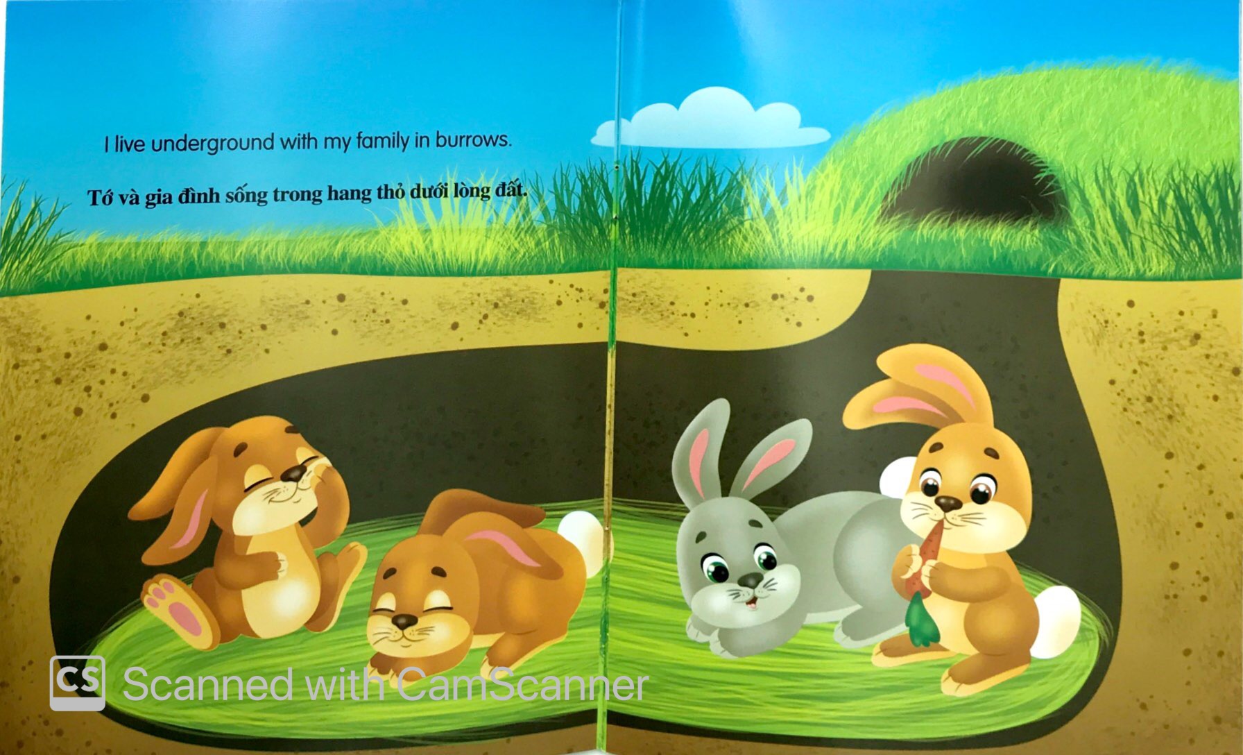 những câu chuyện về thế giới động vật - tớ là một chú thỏ - i am a rabbit (song ngữ anh-việt) - Ảnh 3