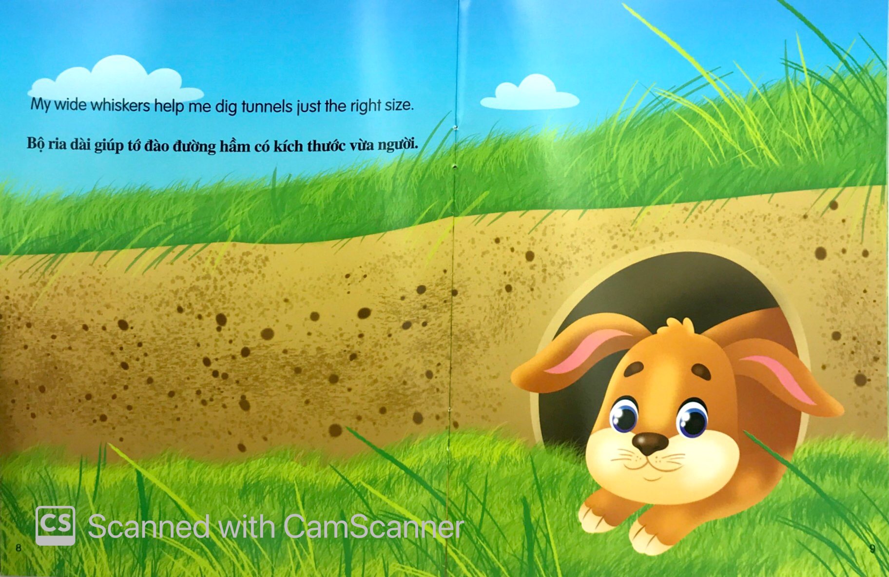 những câu chuyện về thế giới động vật - tớ là một chú thỏ - i am a rabbit (song ngữ anh-việt) - Ảnh 5