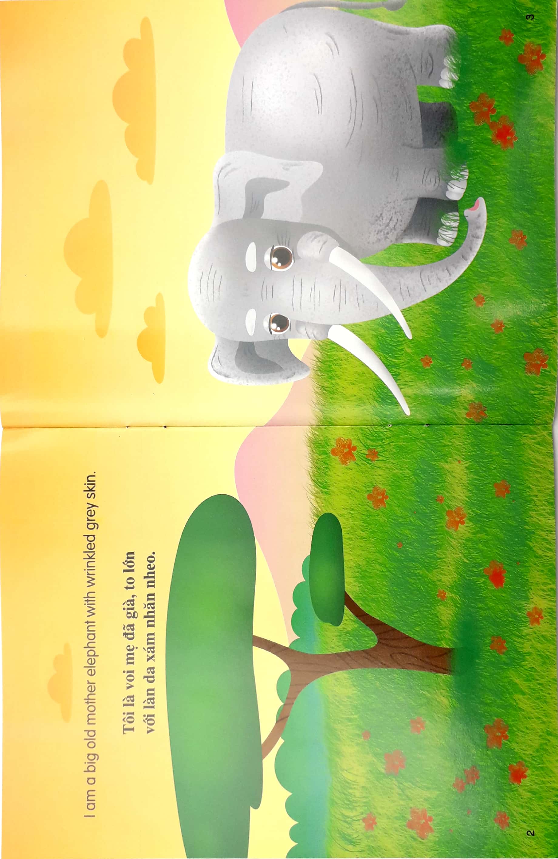 những câu chuyện về thế giới động vật - tớ là một chú voi - i am an elephant (song ngữ anh-việt) - Ảnh 3