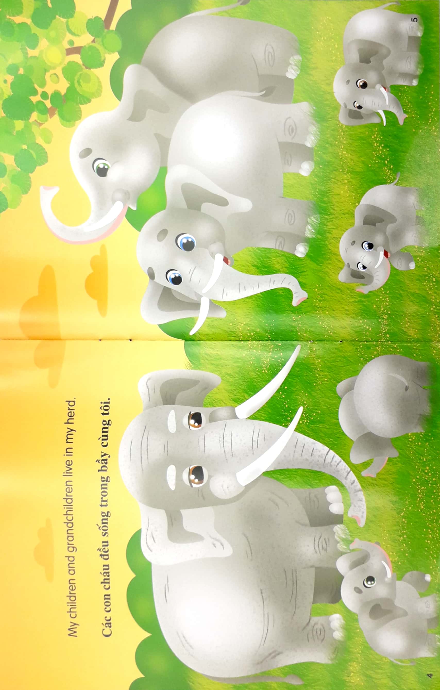 những câu chuyện về thế giới động vật - tớ là một chú voi - i am an elephant (song ngữ anh-việt) - Ảnh 4