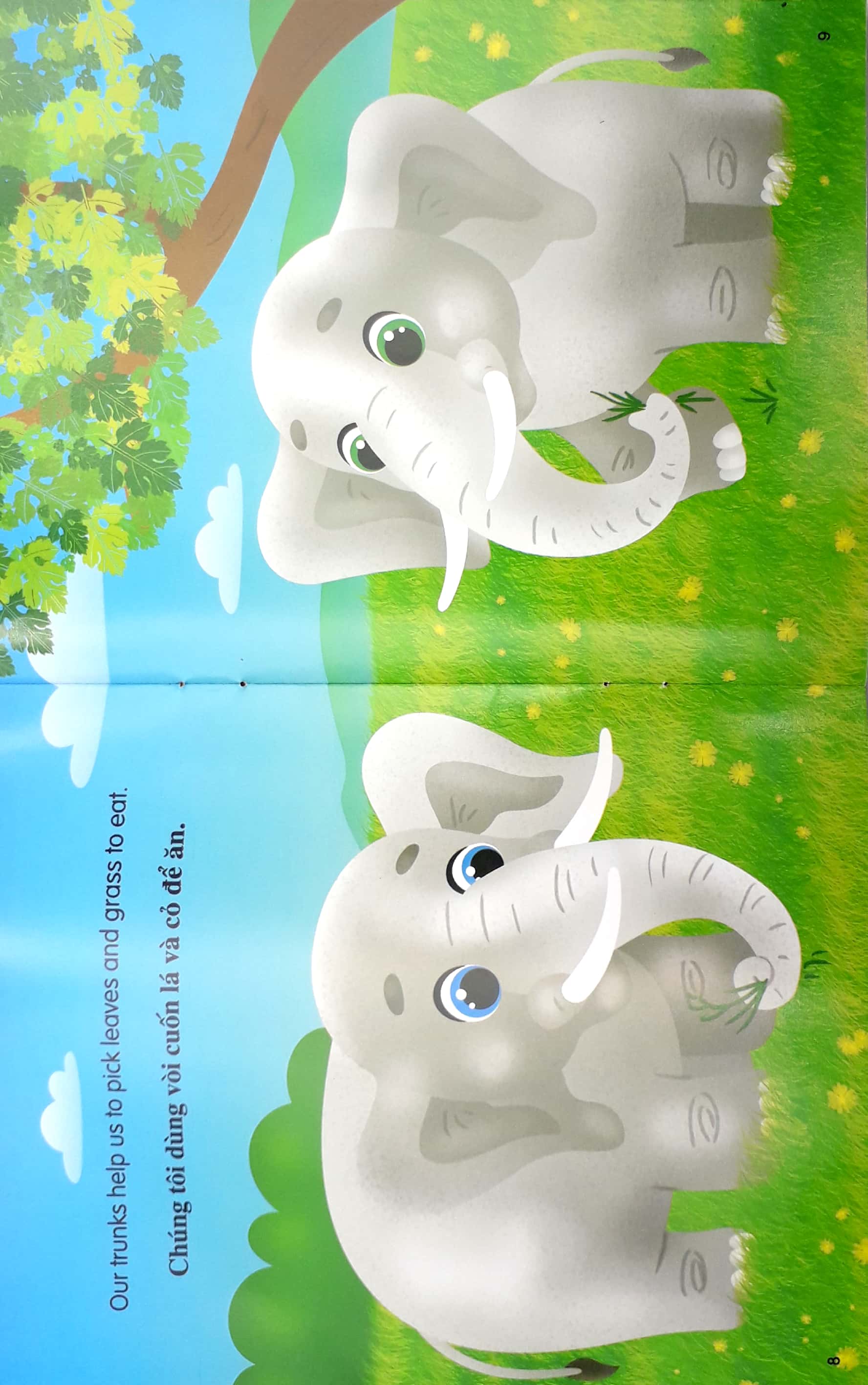 những câu chuyện về thế giới động vật - tớ là một chú voi - i am an elephant (song ngữ anh-việt) - Ảnh 6