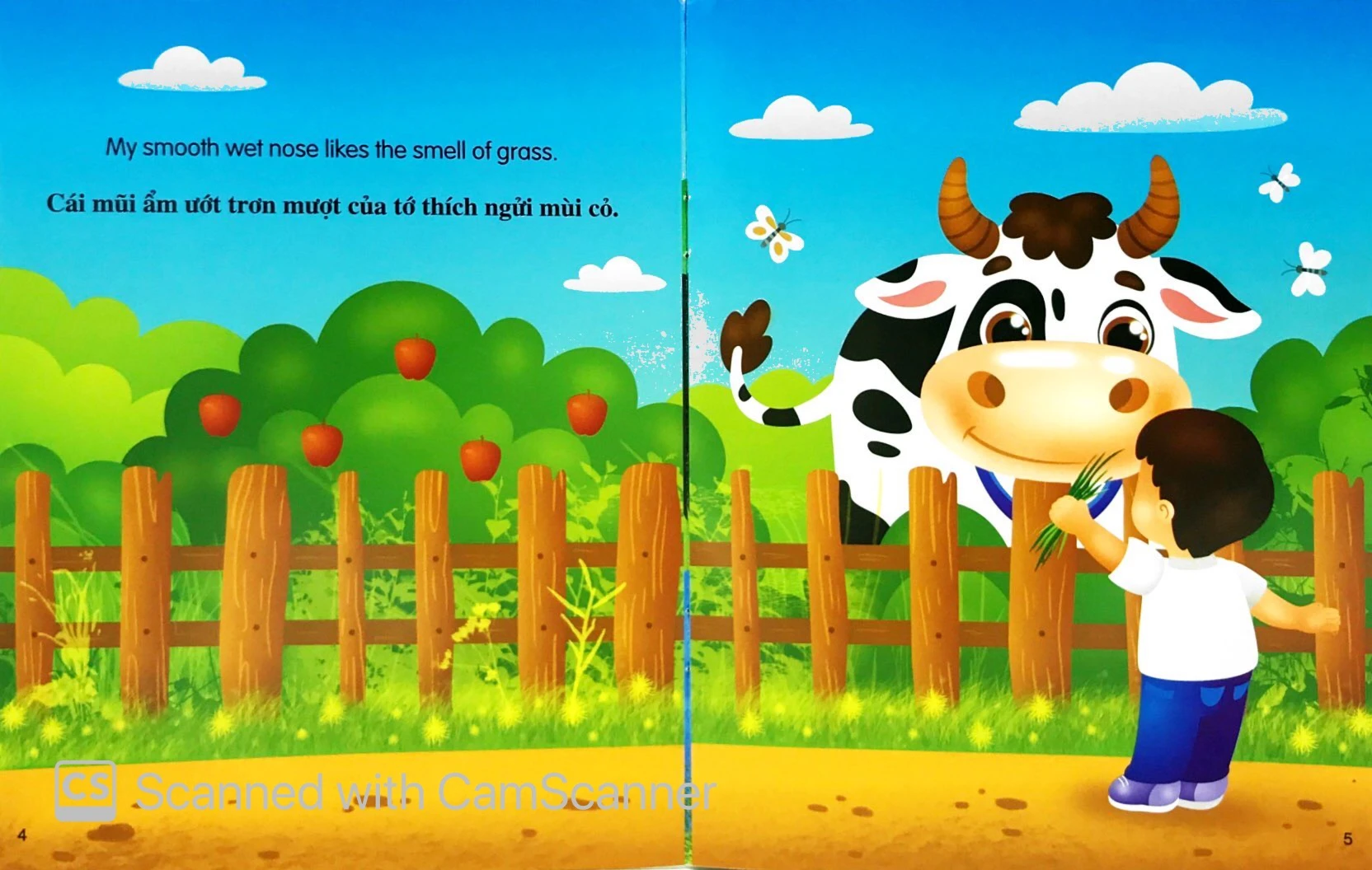 những câu chuyện về thế giới động vật - tớ là một cô bò - i am a cow (song ngữ anh-việt) - Ảnh 4
