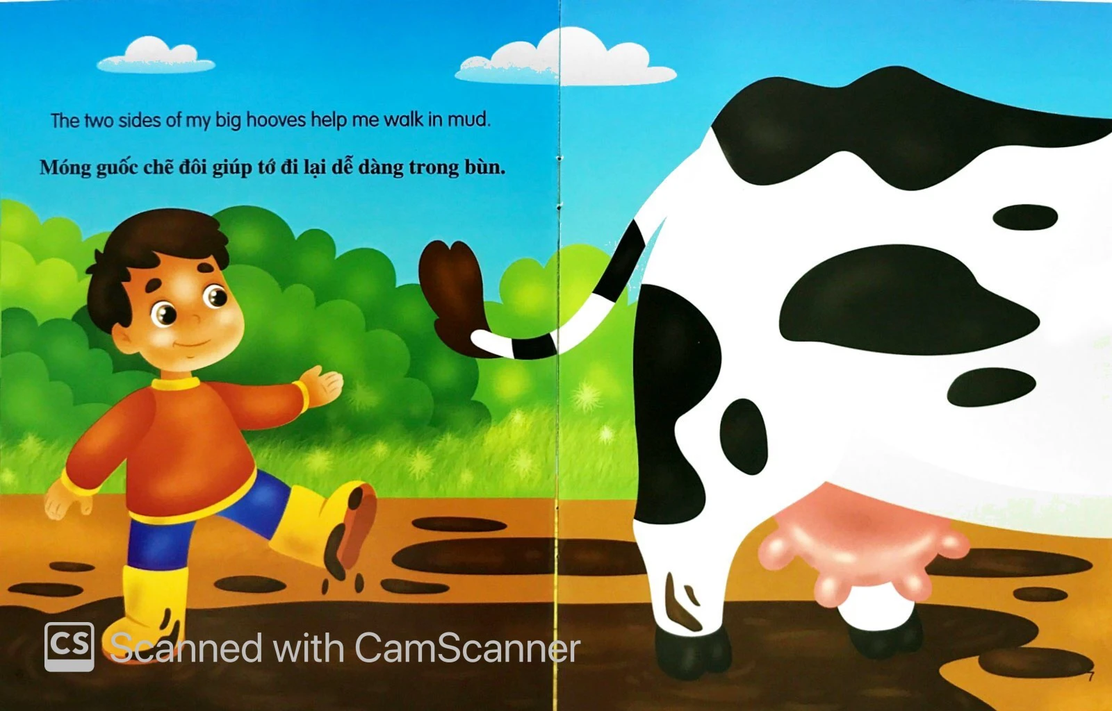 những câu chuyện về thế giới động vật - tớ là một cô bò - i am a cow (song ngữ anh-việt) - Ảnh 5