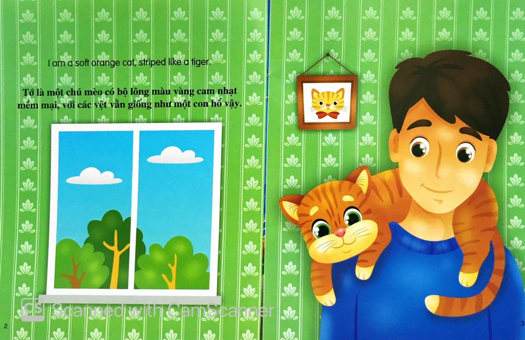 những câu chuyện về thế giới loài vật: tớ là một chú mèo - Ảnh 2