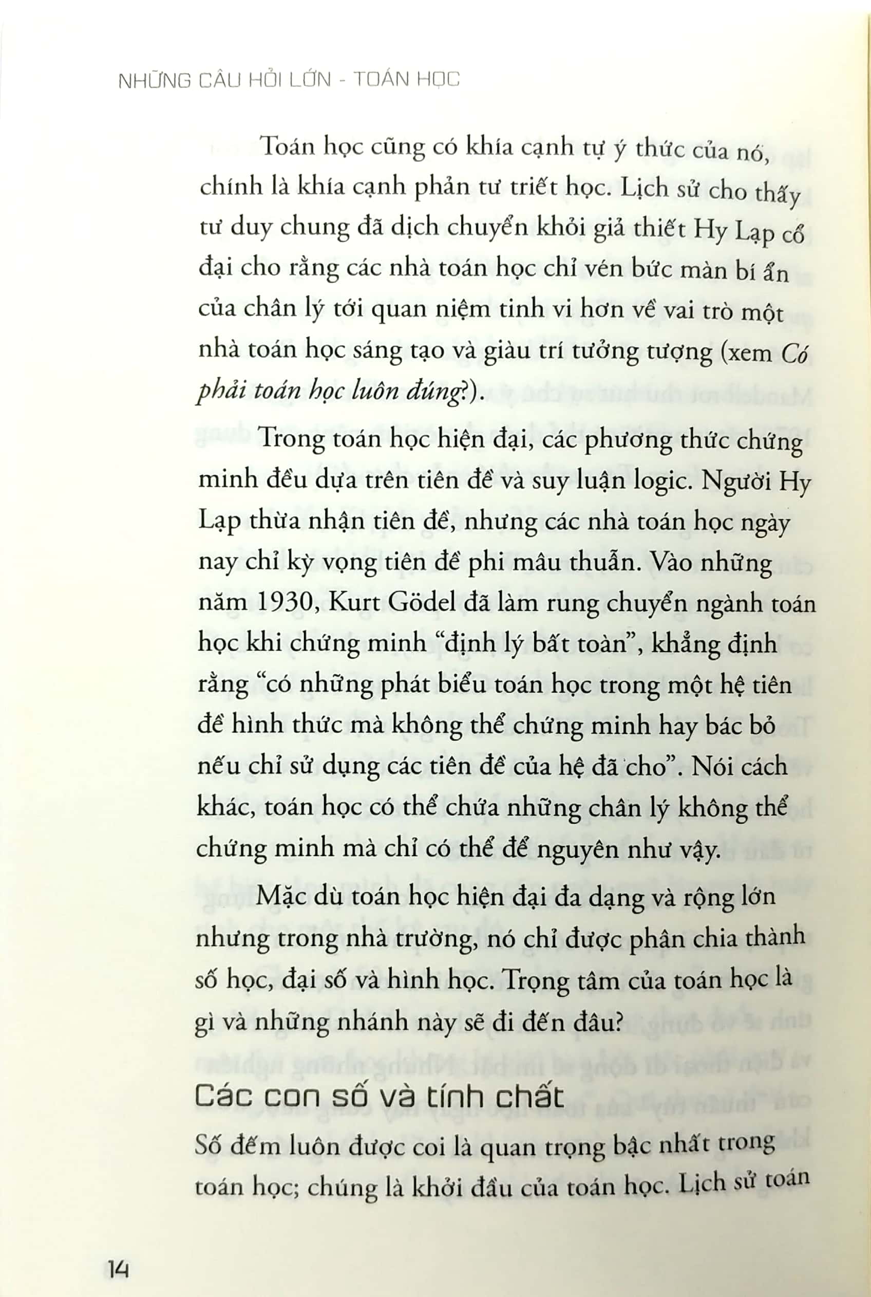 những câu hỏi lớn toán học (tái bản) - Ảnh 10