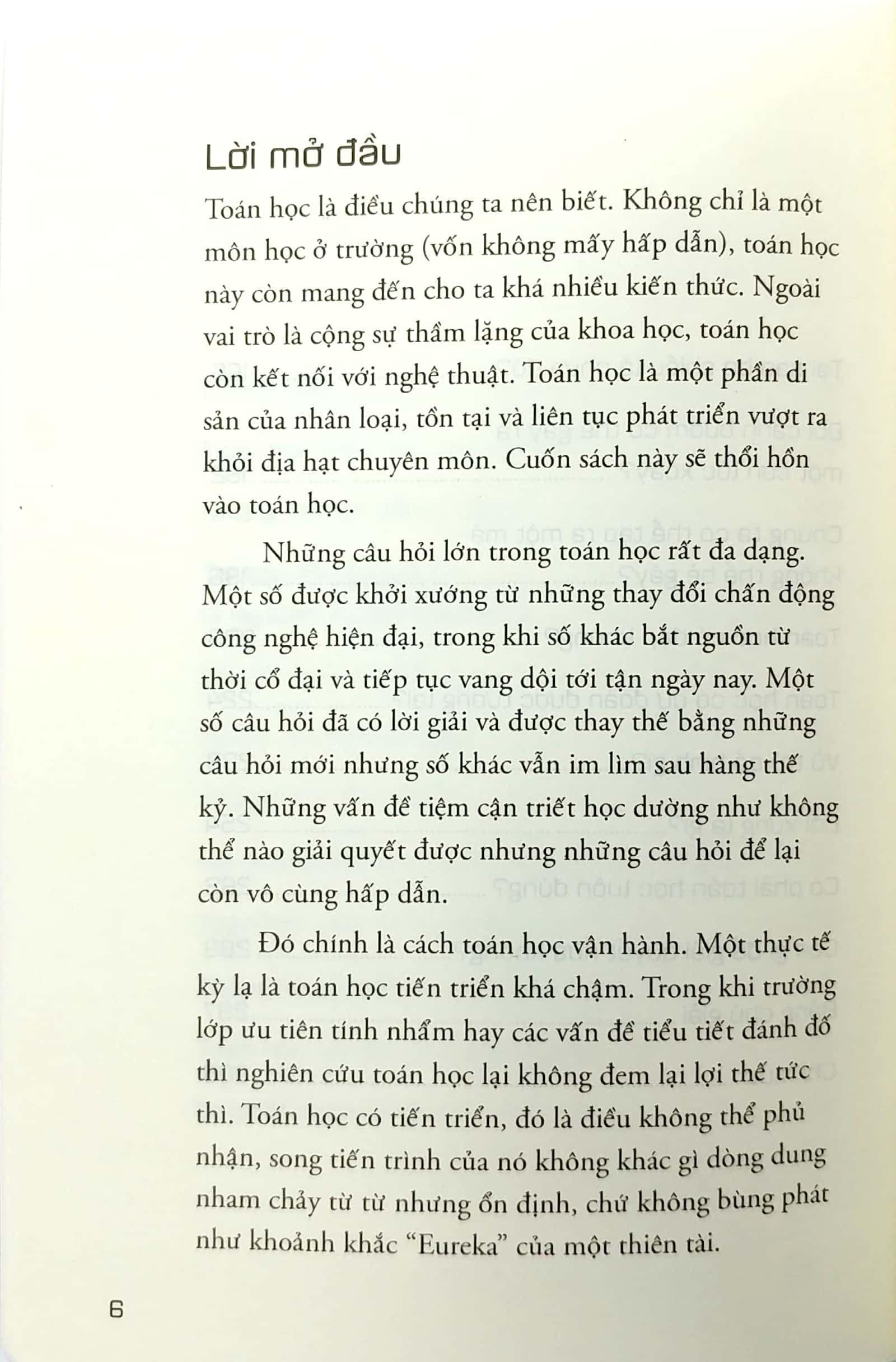 những câu hỏi lớn toán học (tái bản) - Ảnh 4