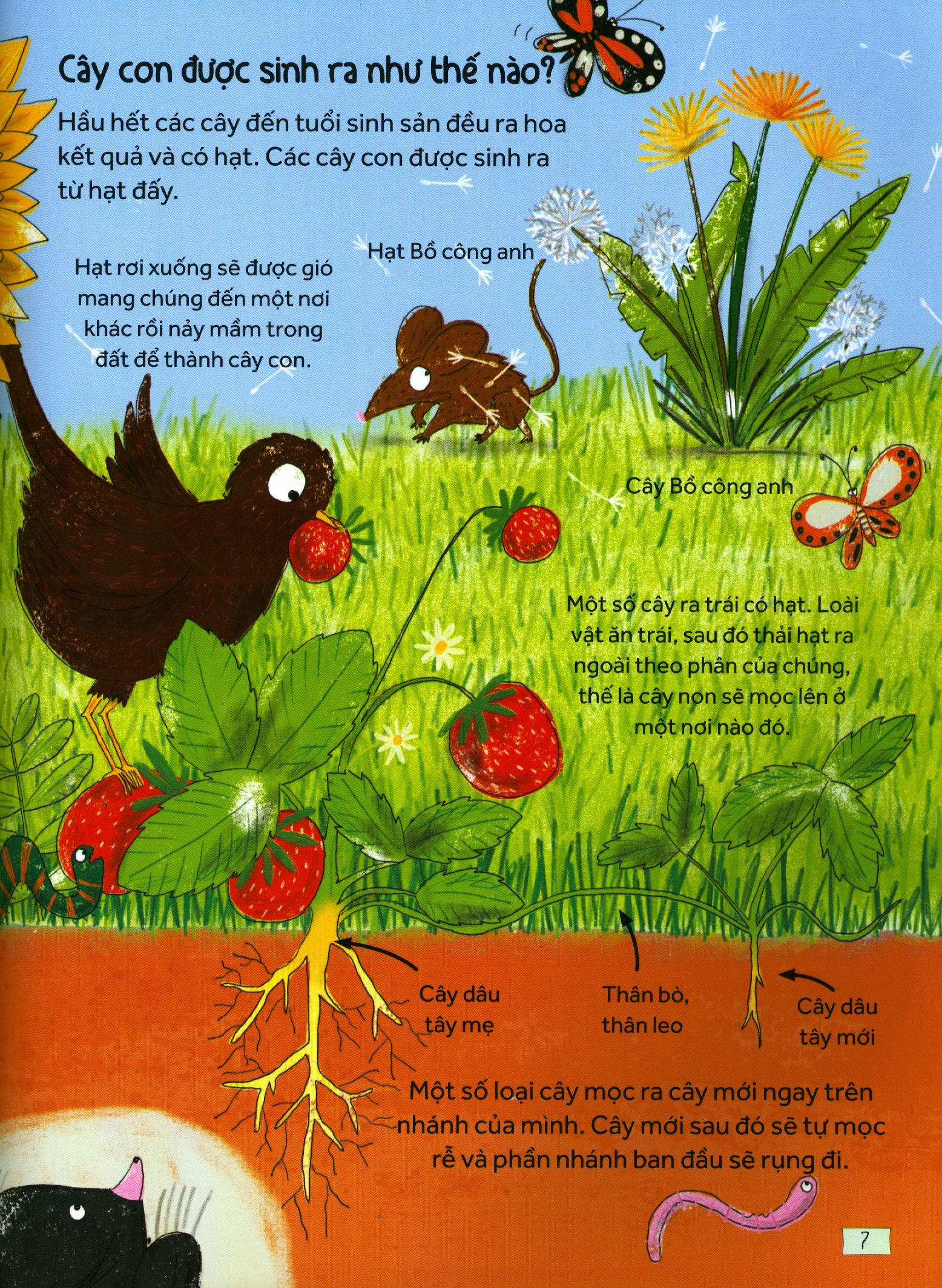 những câu hỏi tò mò & giải đáp thú vị về khoa học - Ảnh 4