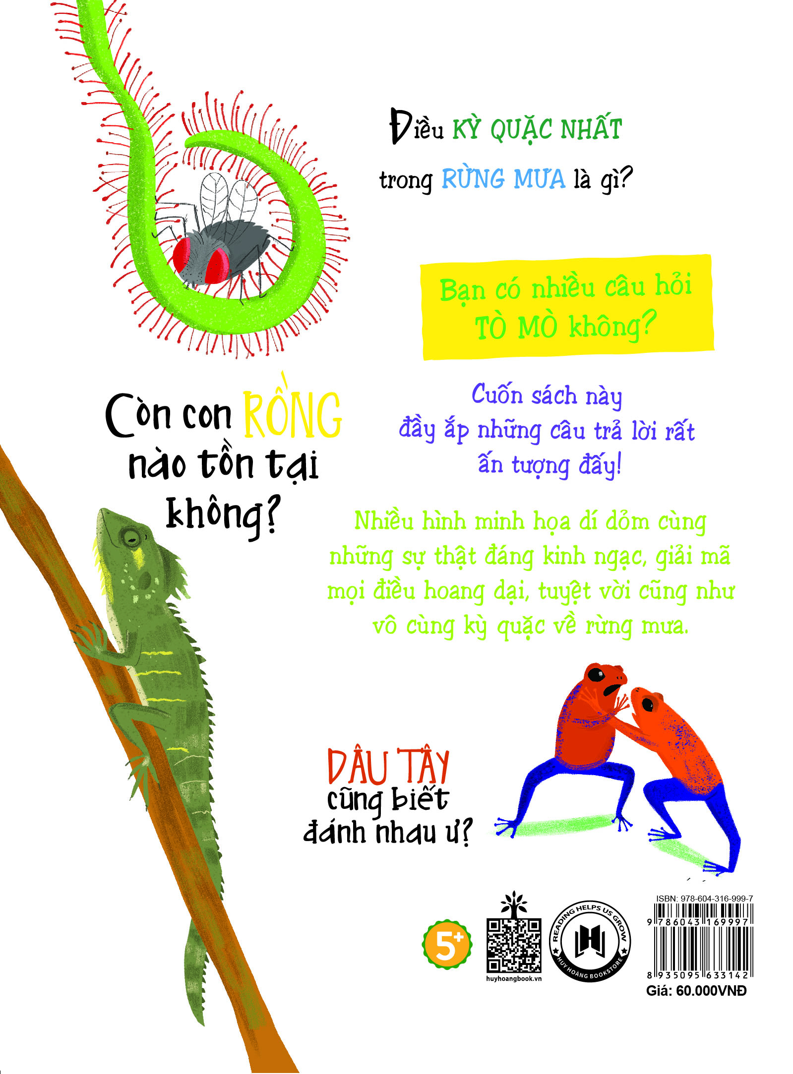 những câu hỏi tò mò và giải đáp thú vị về rừng mưa - Ảnh 3