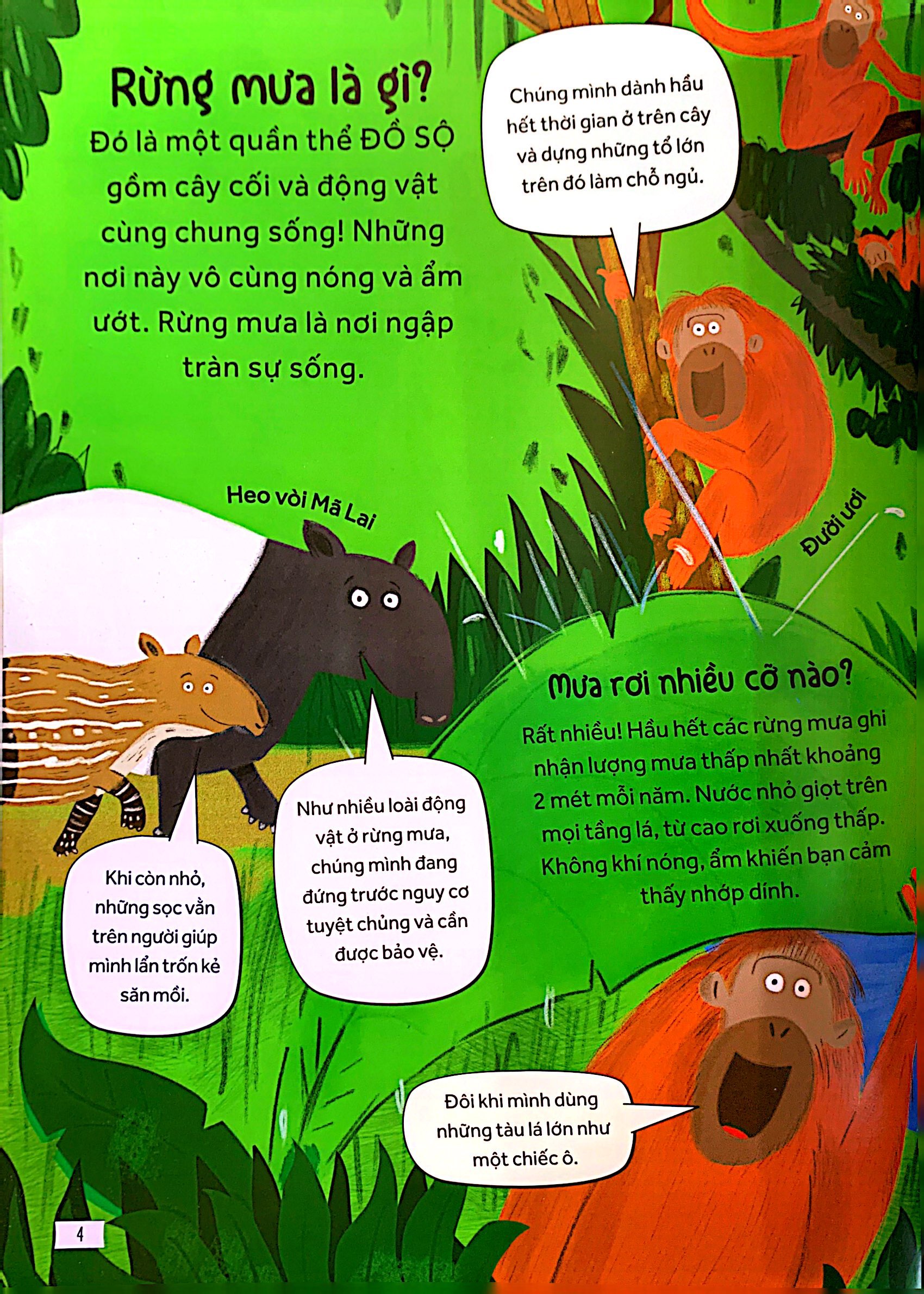 những câu hỏi tò mò và giải đáp thú vị về rừng mưa - Ảnh 7