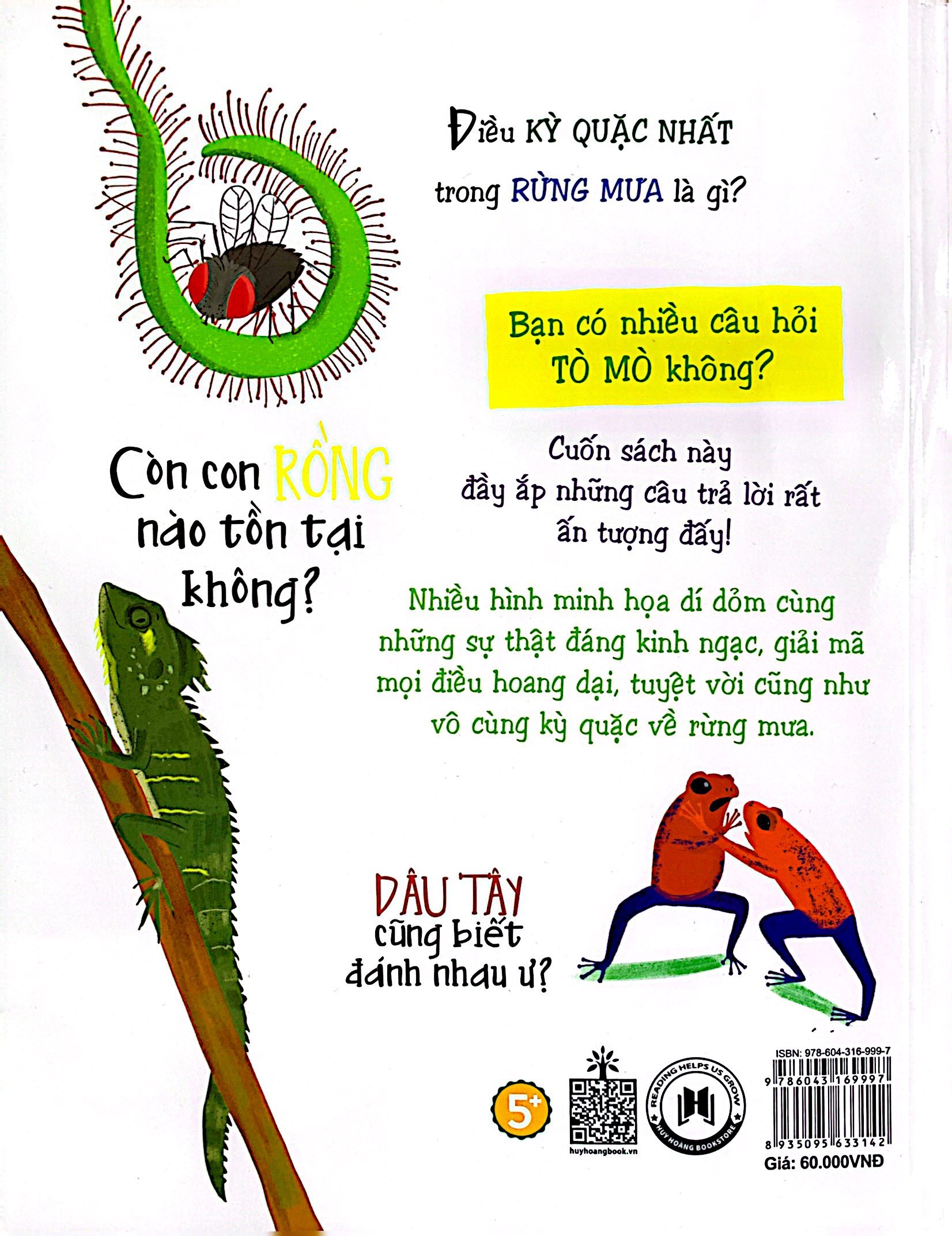 những câu hỏi tò mò và giải đáp thú vị về rừng mưa - Ảnh 9