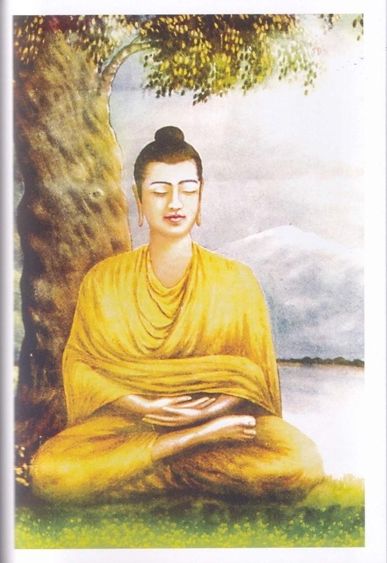 những chặng đường tham học - Ảnh 3