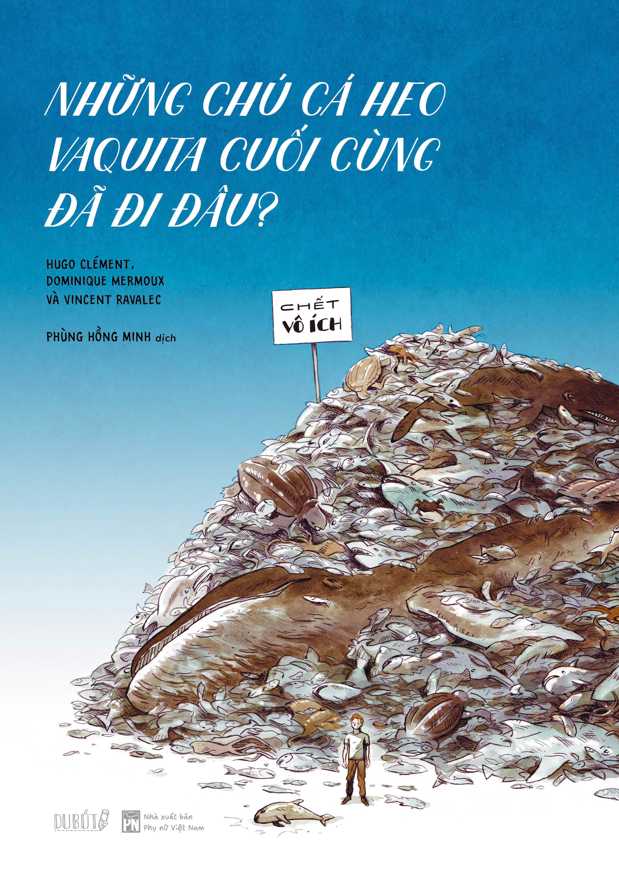 Những Chú Cá Heo Vaquita Cuối Cùng Đã Đi Đâu? - Ảnh 2