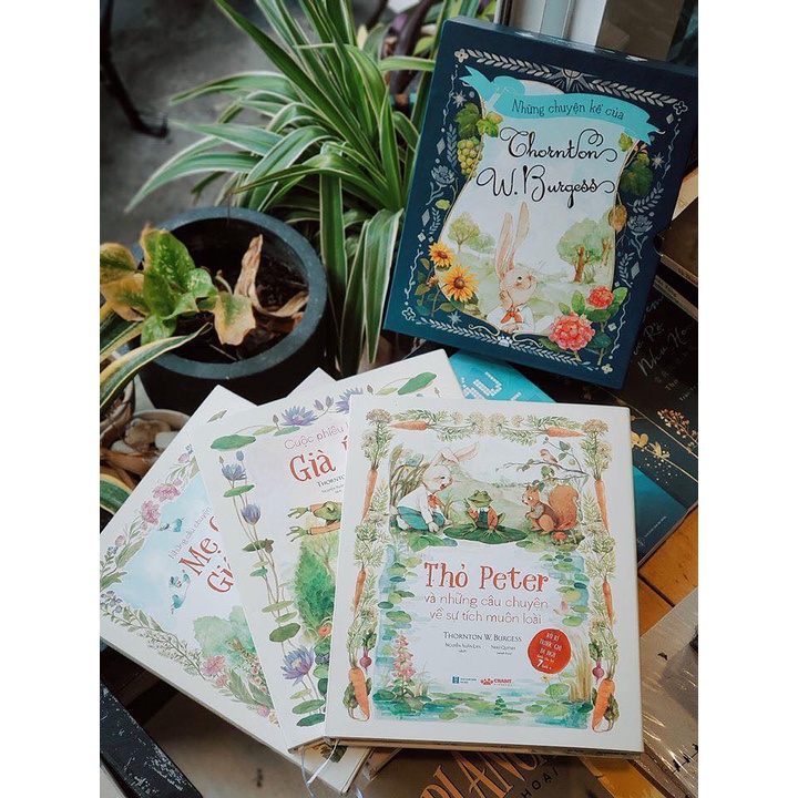 những chuyện kể của thornton (bộ 3 cuốn) - Ảnh 3