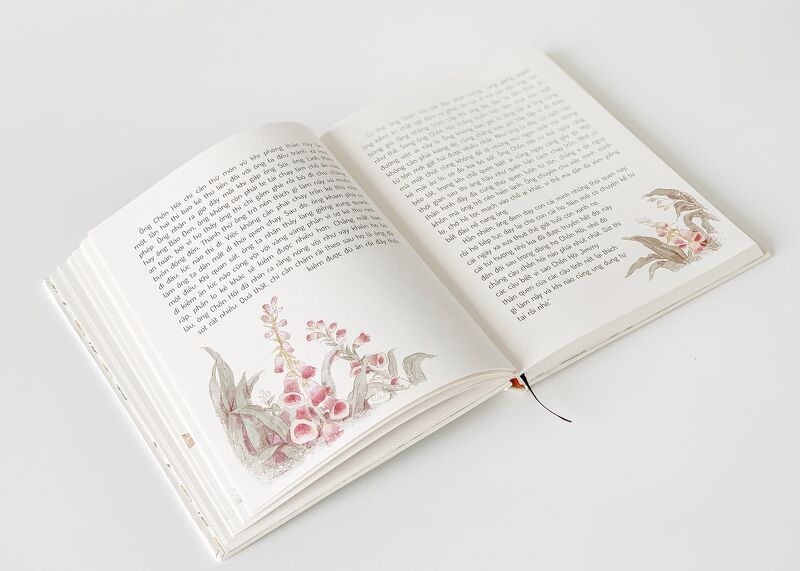 những chuyện kể của thornton burgess - thỏ peter và những câu chuyện về sự tích muôn loài - Ảnh 5