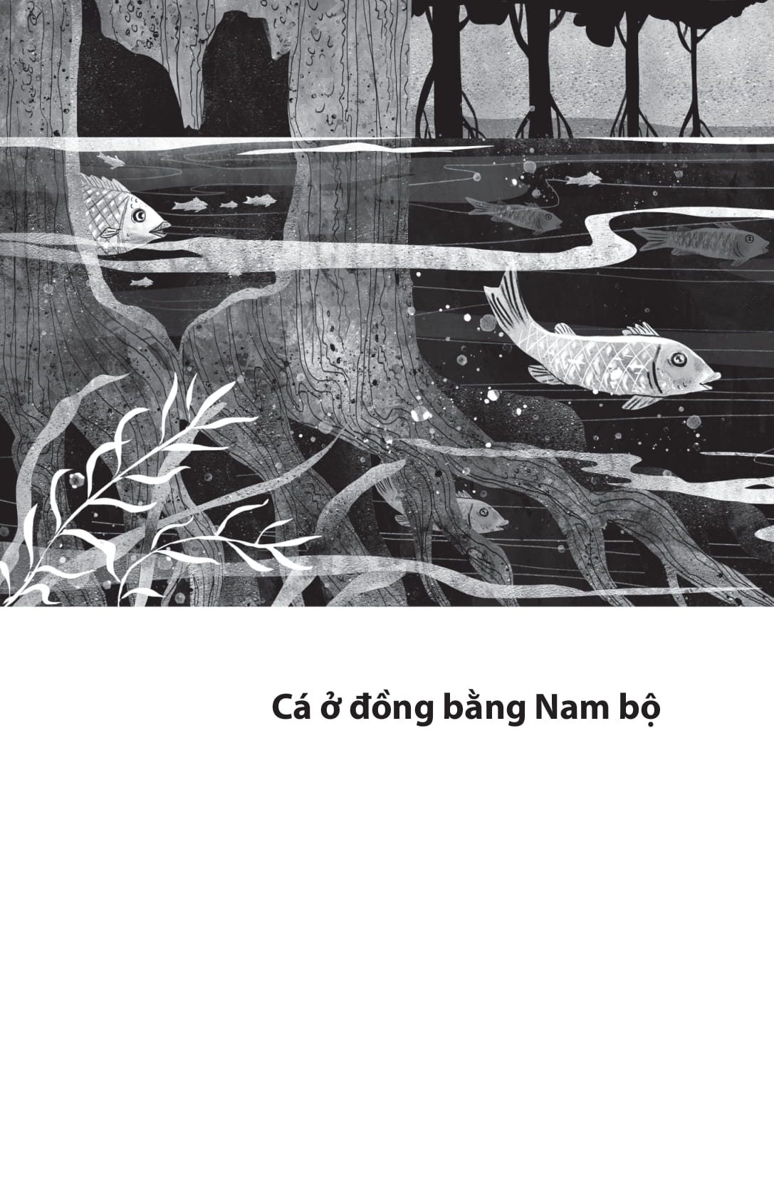 những chuyện lạ về cá (tái bản 2025) - Ảnh 4