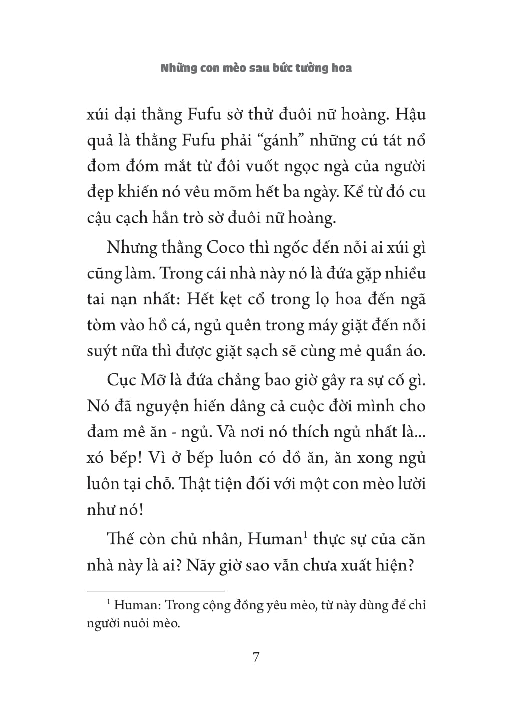 những con mèo sau bức tường hoa - Ảnh 5