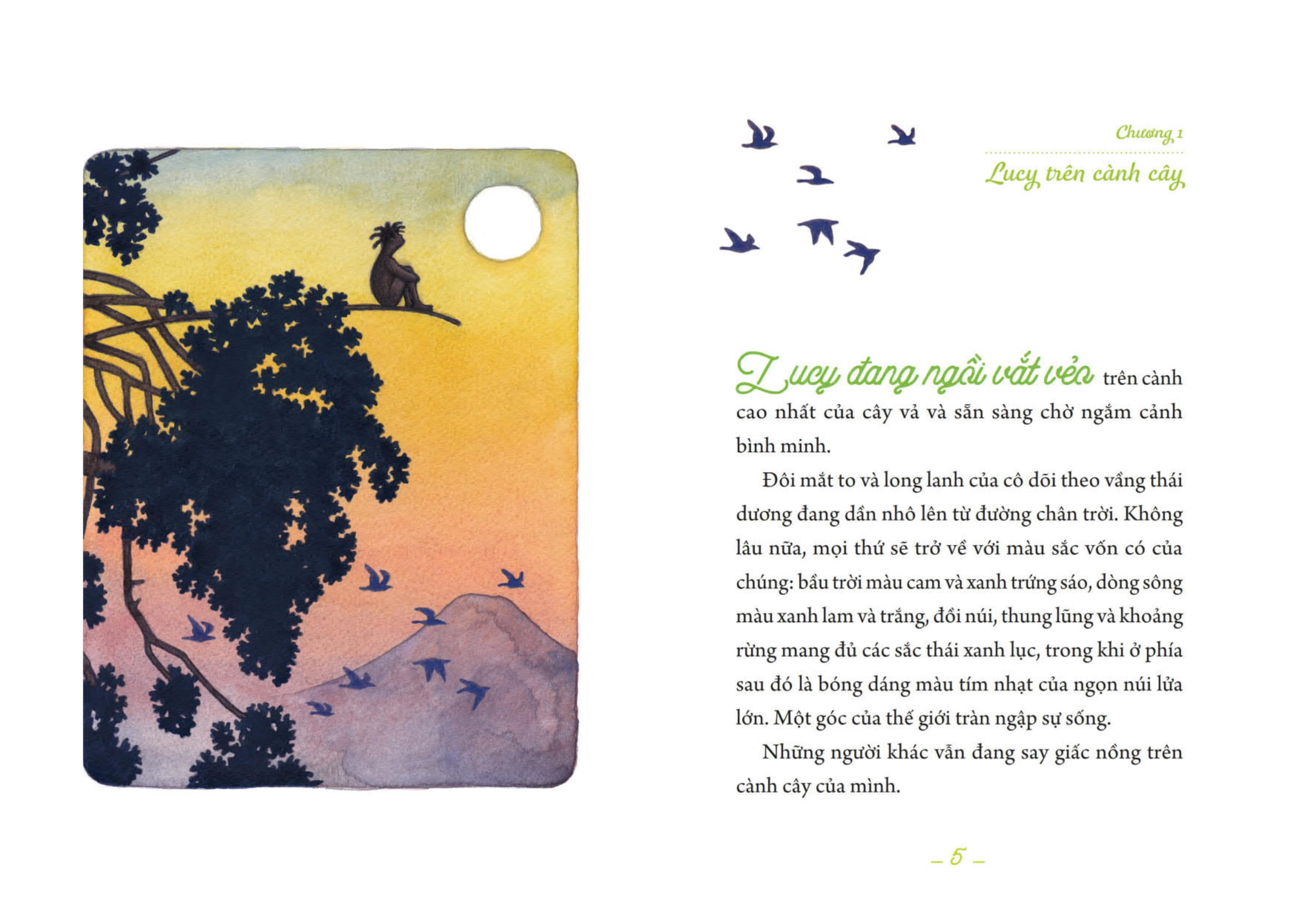 những con người đầu tiên - lucy - người phụ nữ đầu tiên - Ảnh 3