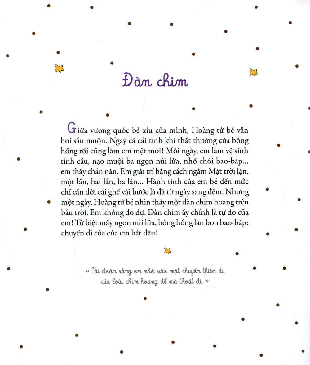 những cuộc gặp gỡ của hoàng tử bé - Ảnh 7