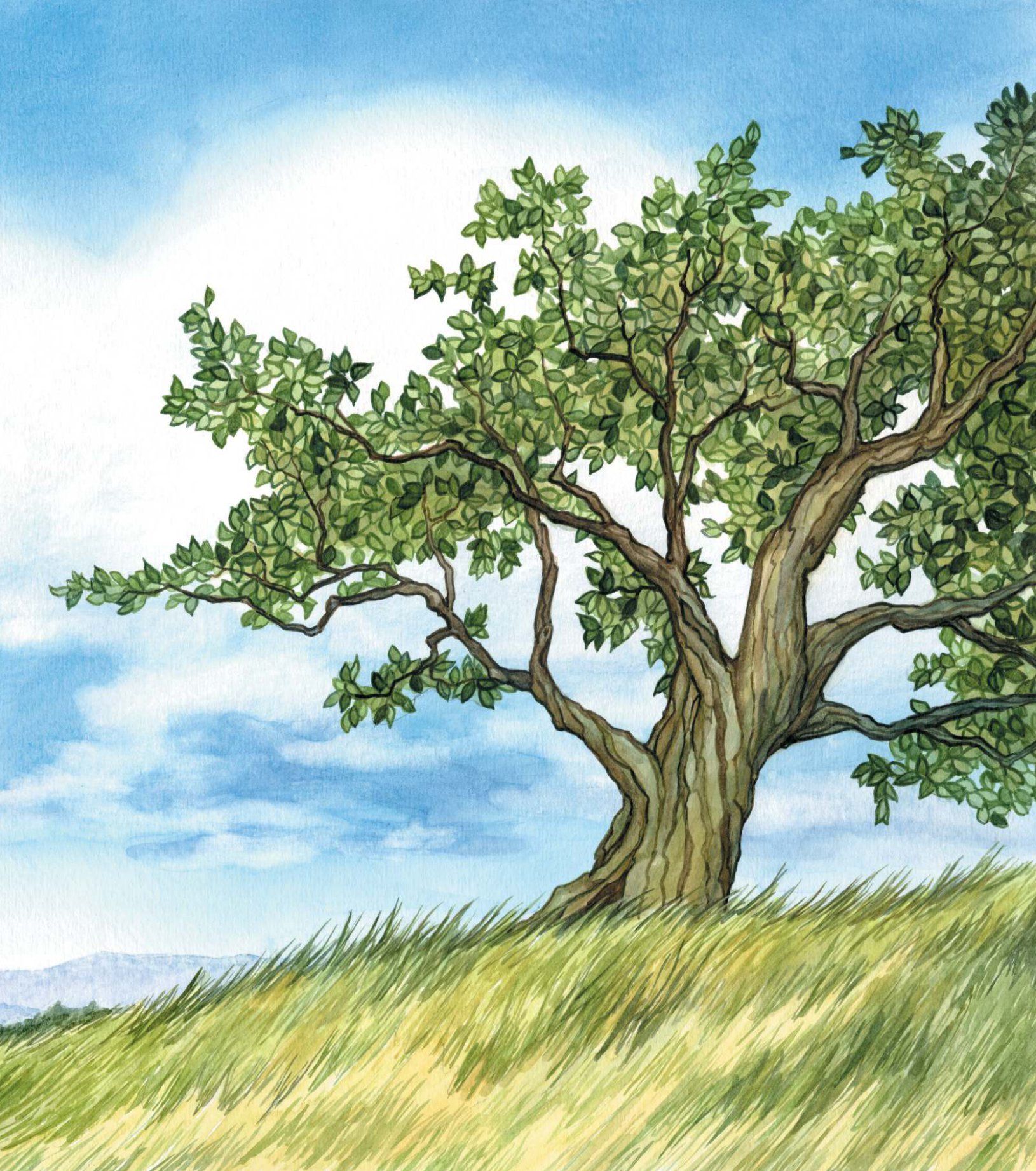 những cuộc phiêu lưu kì thú - chuyến bay li kì - Ảnh 5