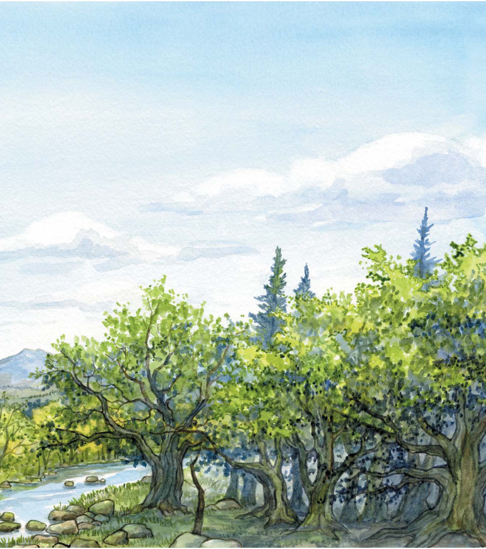 những cuộc phiêu lưu kì thú - tấm bản đồ kho báu - Ảnh 5