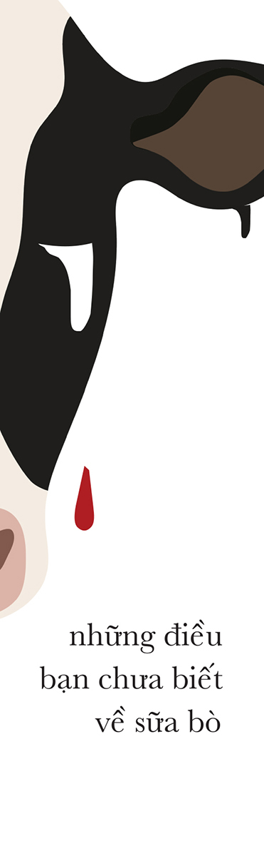 những điều bạn chưa biết về sữa bò - Ảnh 3