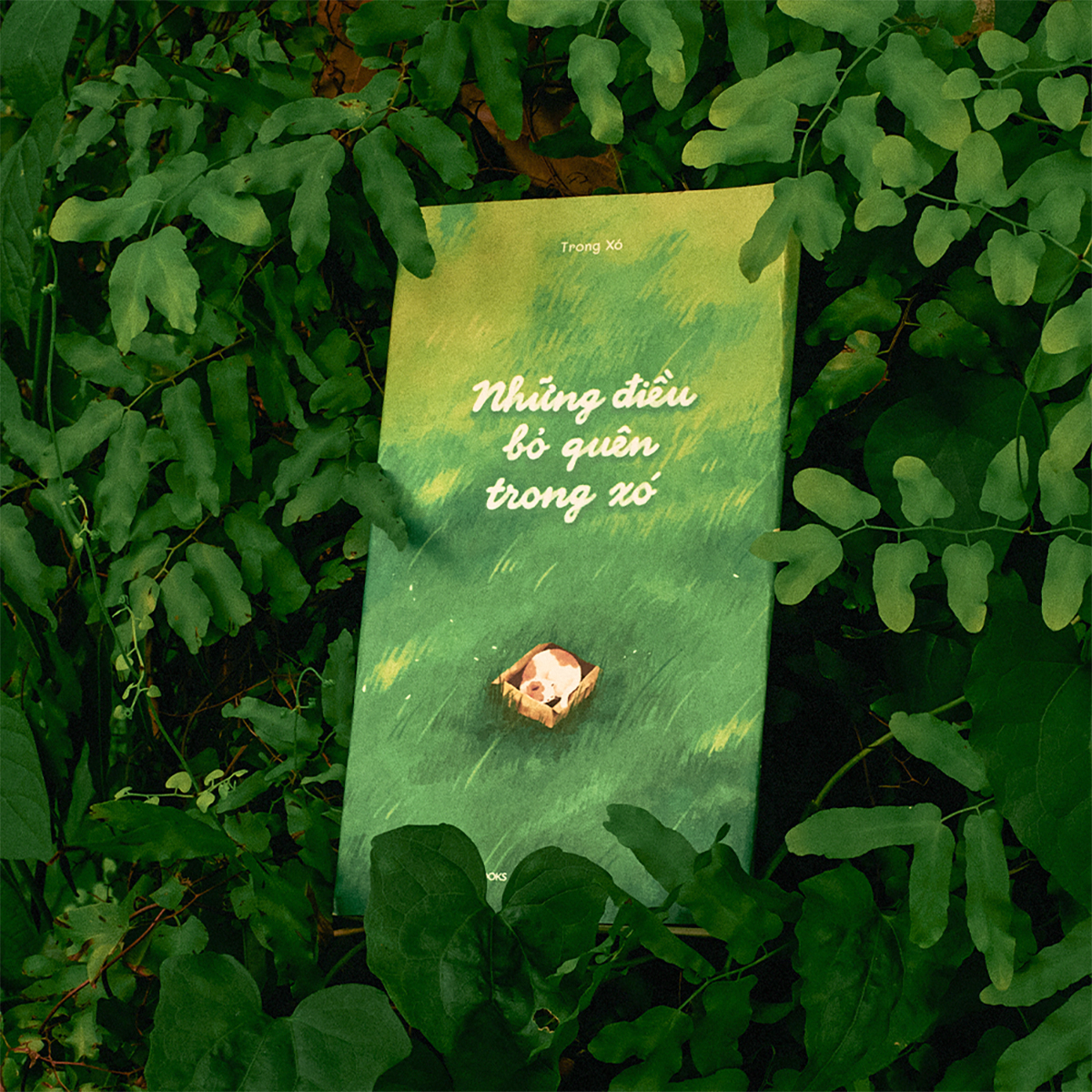 những điều bỏ quên trong xó - Ảnh 3