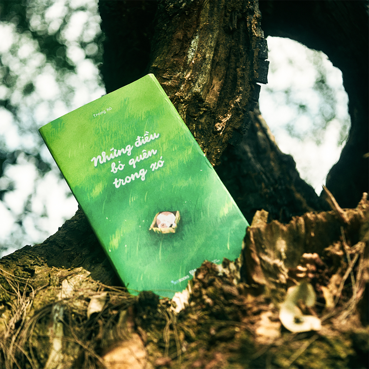 những điều bỏ quên trong xó - Ảnh 4