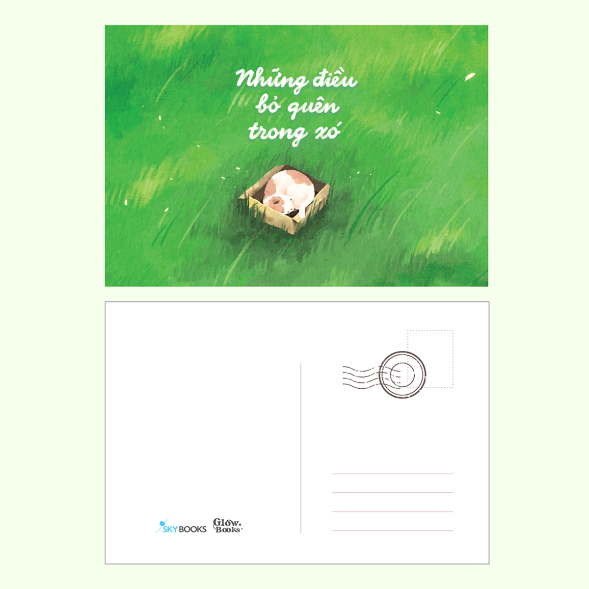 những điều bỏ quên trong xó - Ảnh 5