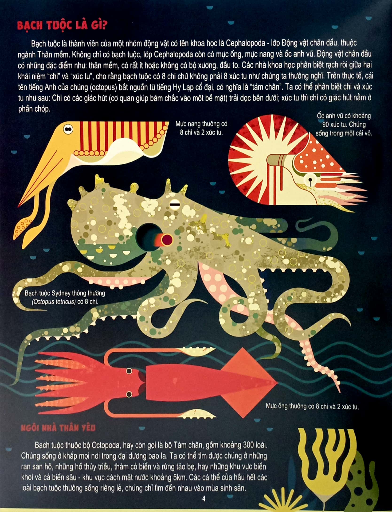 những điều chưa biết về… - bạch tuộc - Ảnh 4