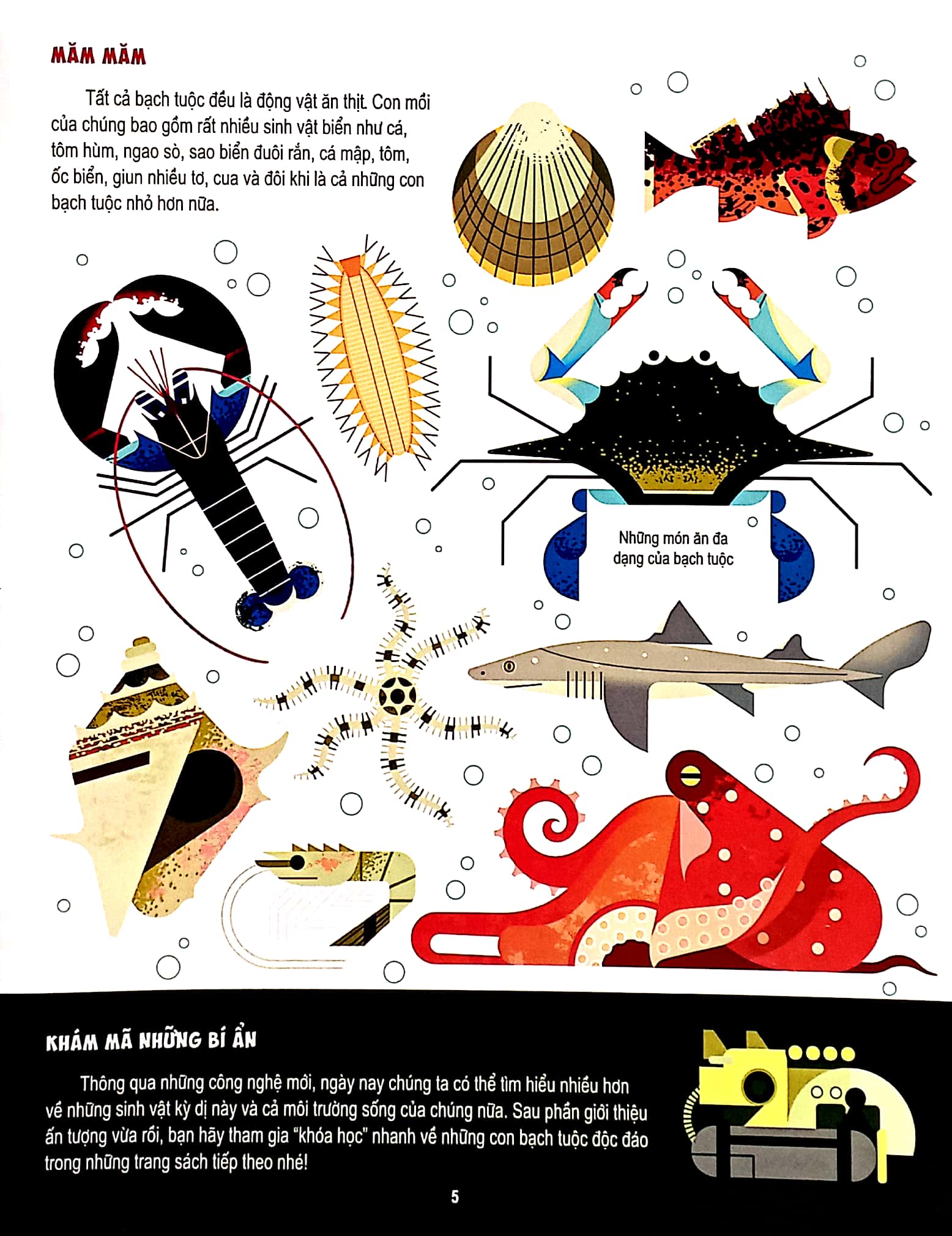 những điều chưa biết về… - bạch tuộc - Ảnh 5