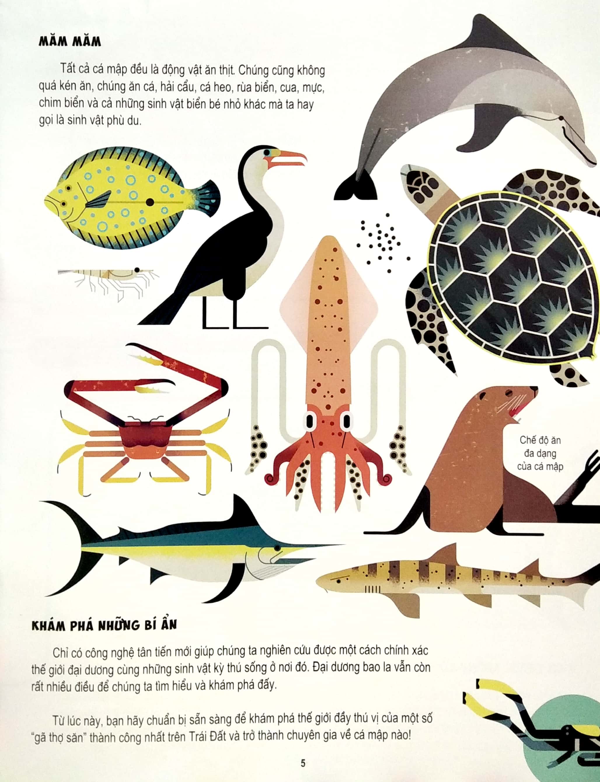 những điều chưa biết về… - cá mập - Ảnh 5