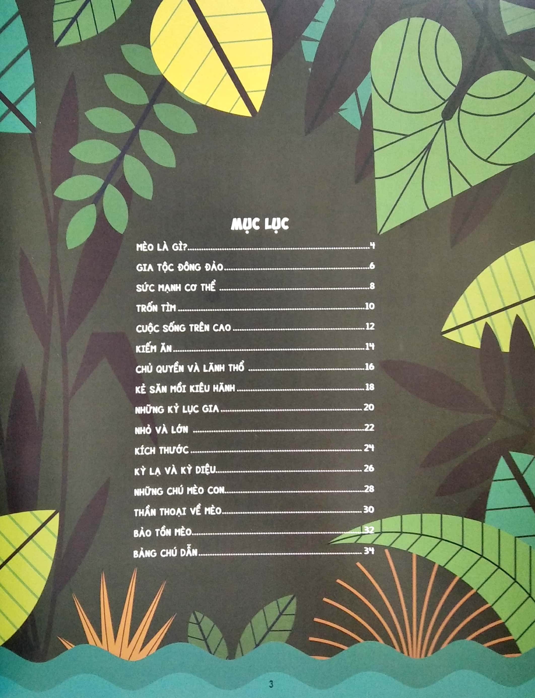 những điều chưa biết về… - mèo - Ảnh 3