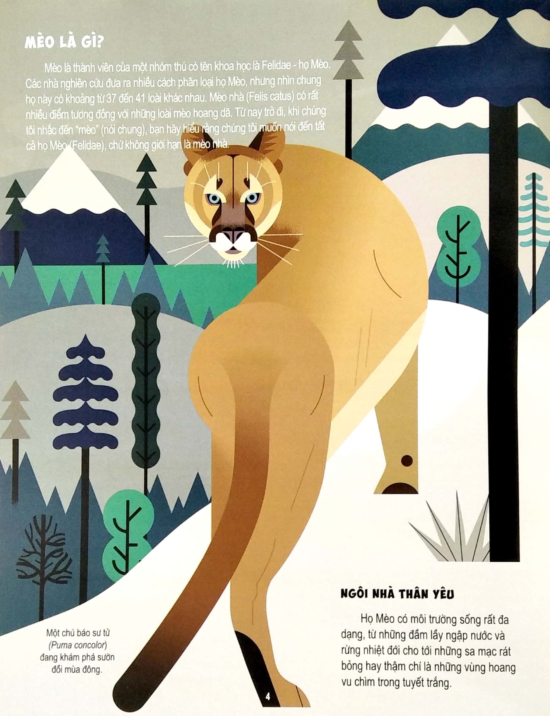 những điều chưa biết về… - mèo - Ảnh 4