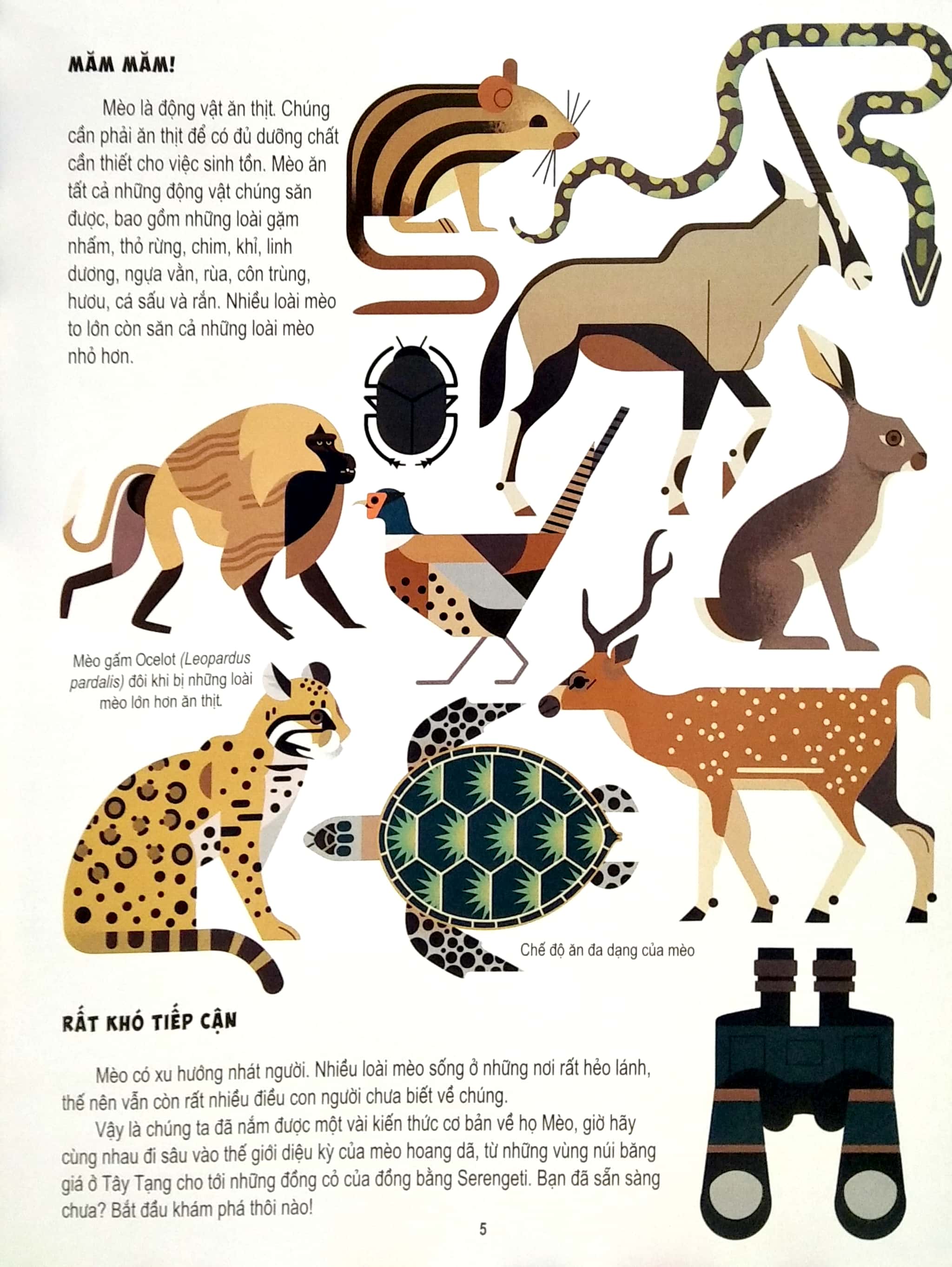 những điều chưa biết về… - mèo - Ảnh 5