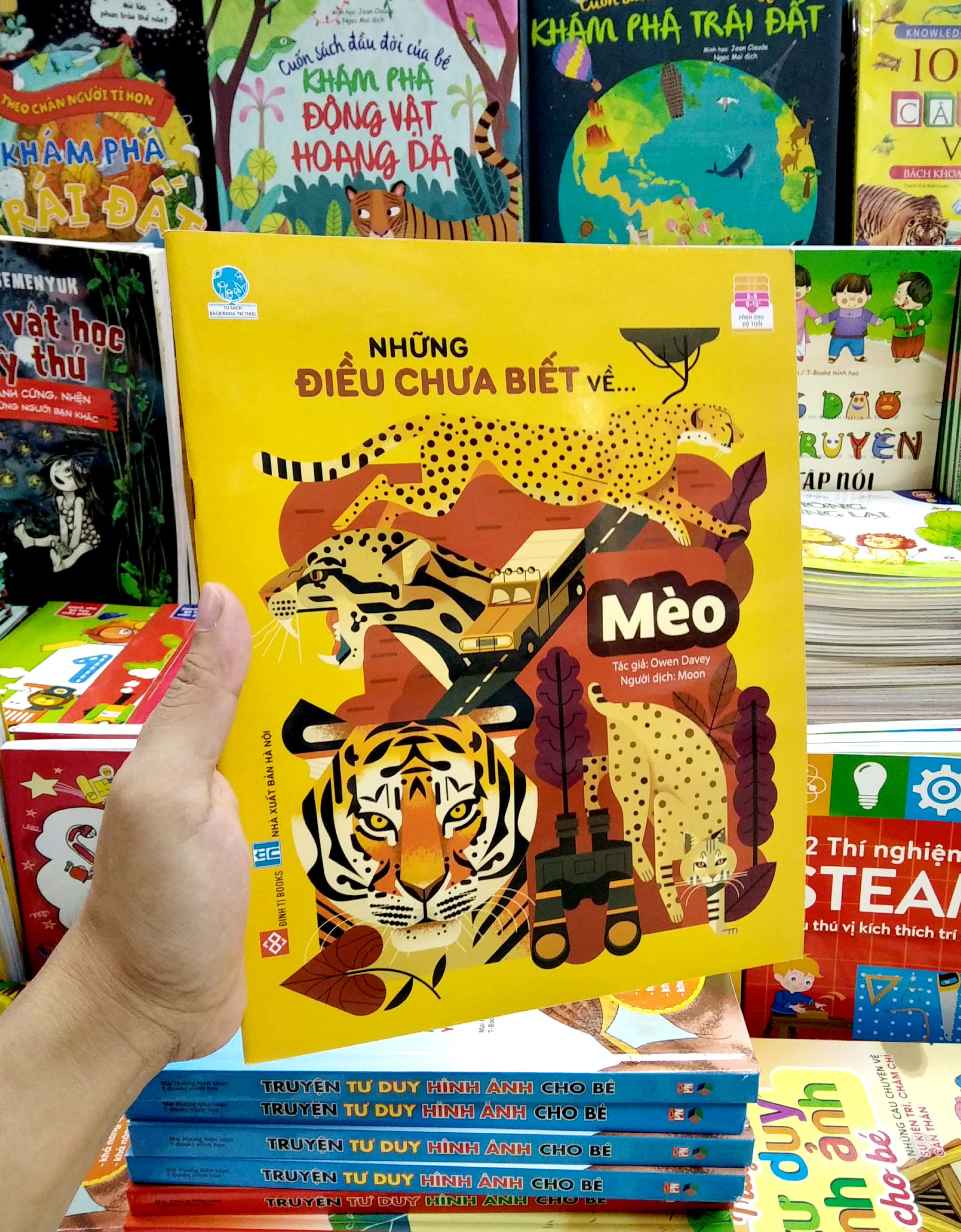 những điều chưa biết về… - mèo - Ảnh 7