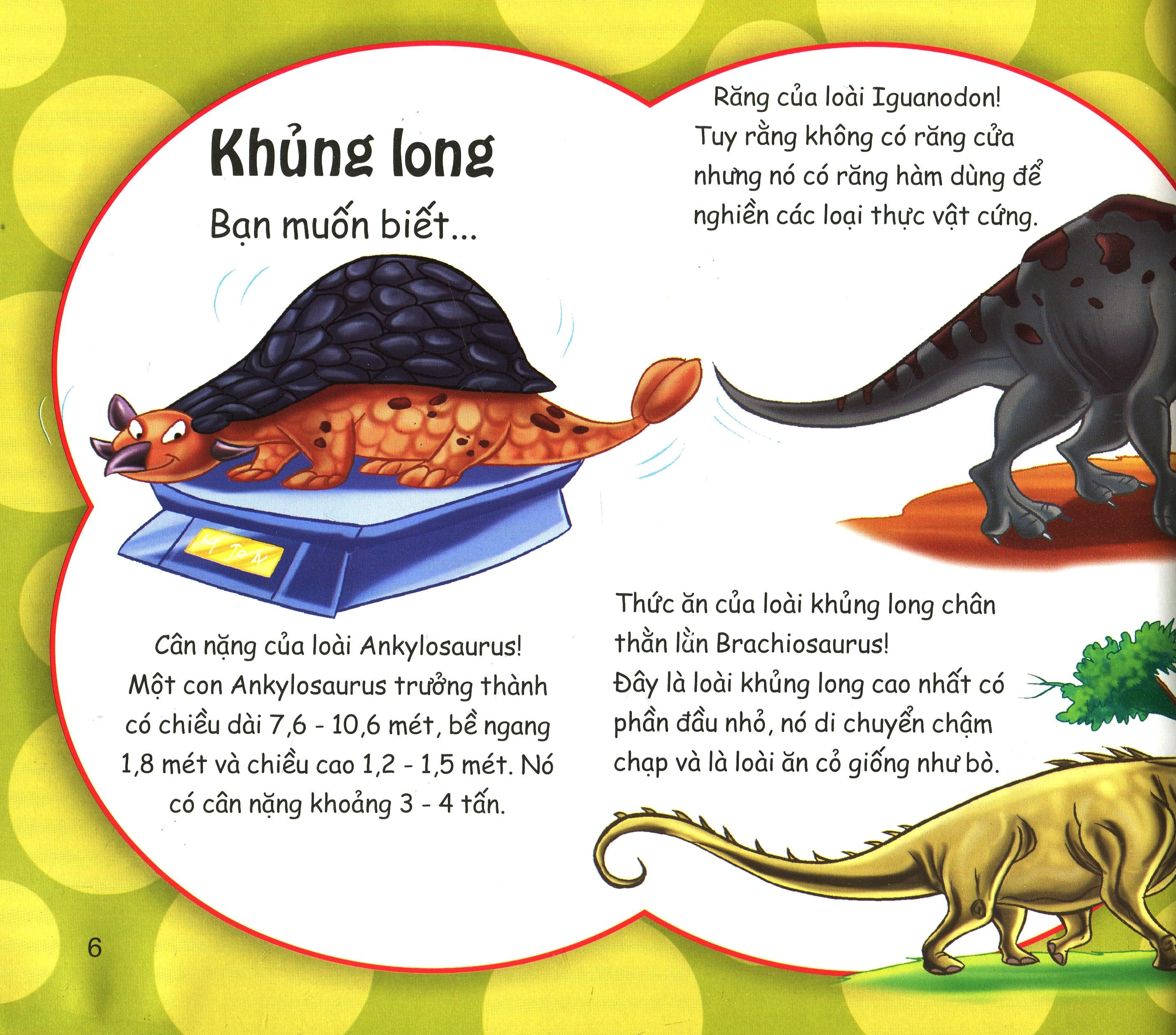 những điều kỳ thú - bạn cần biết - Ảnh 6