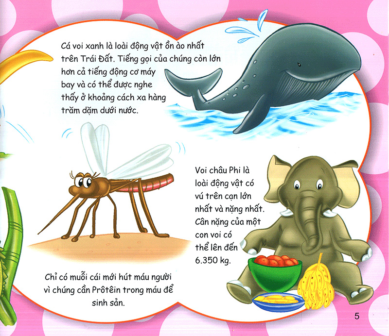 những điều kỳ thú - bạn sẽ kinh ngạc - Ảnh 5