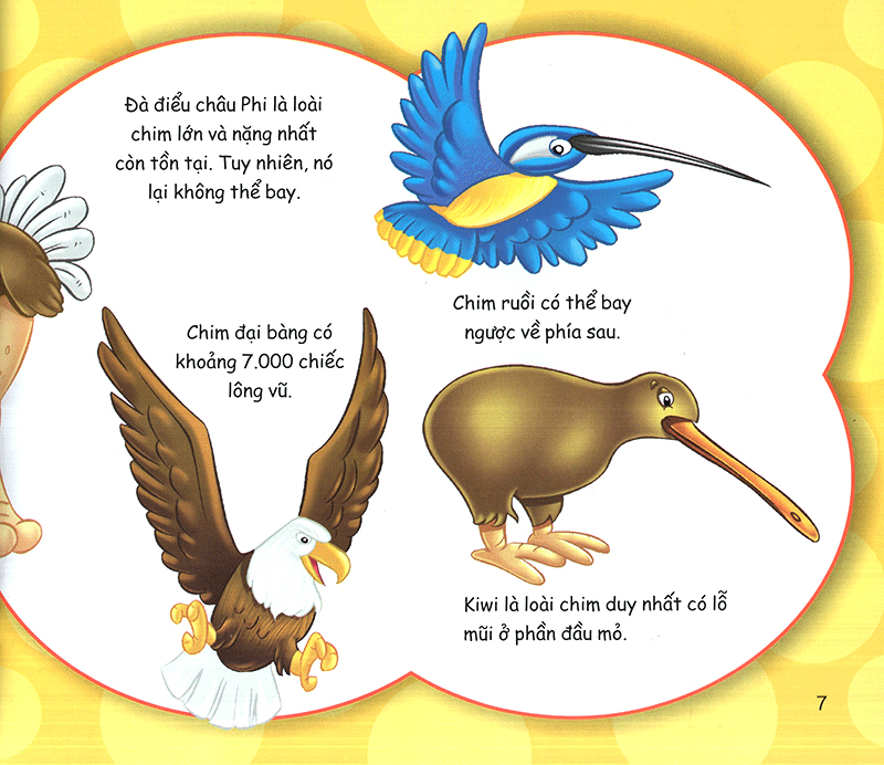 những điều kỳ thú - có thể bạn chưa biết - Ảnh 7