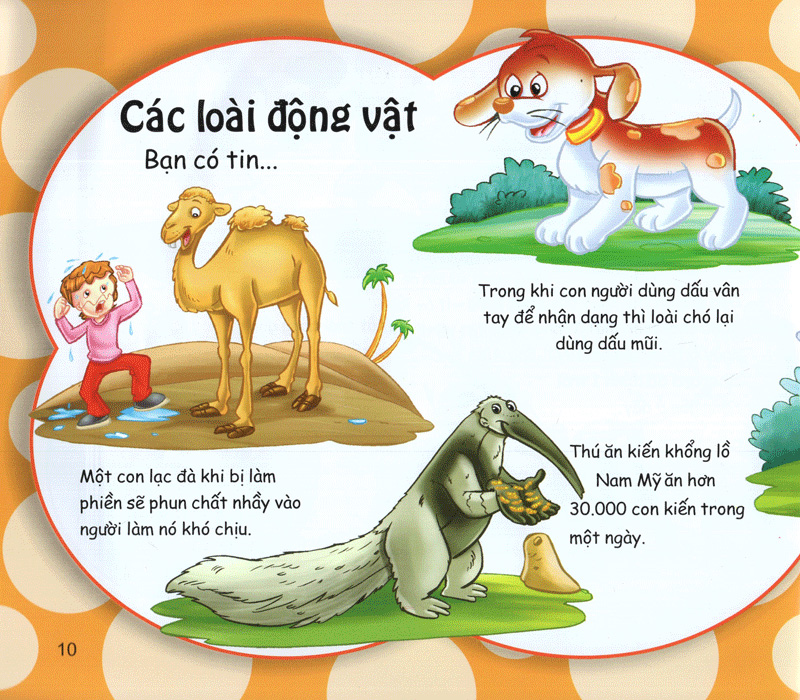 những điều kỳ thú - kiến thức thú vị - Ảnh 10