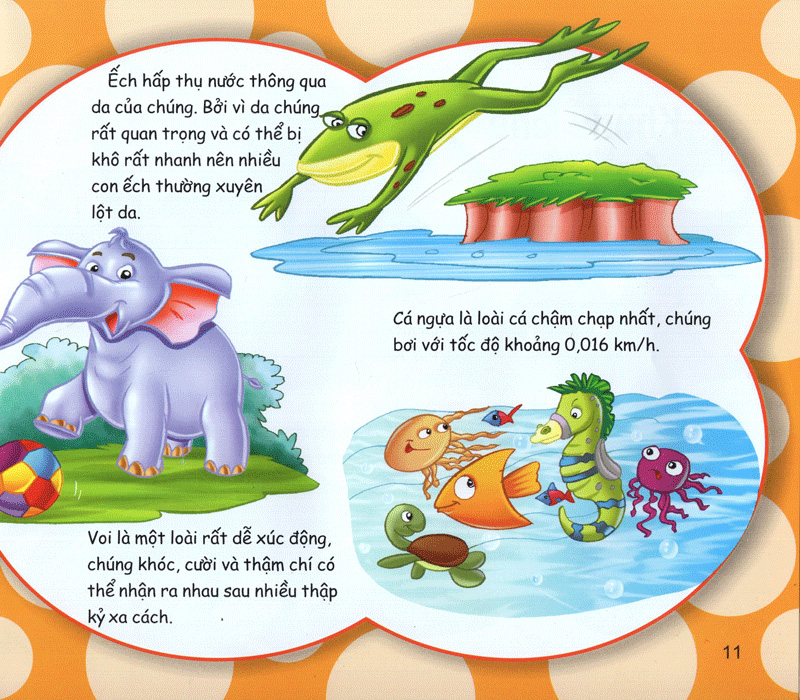 những điều kỳ thú - kiến thức thú vị - Ảnh 11