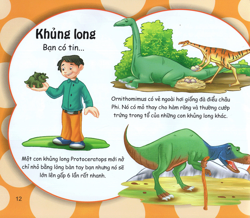 những điều kỳ thú - kiến thức thú vị - Ảnh 12