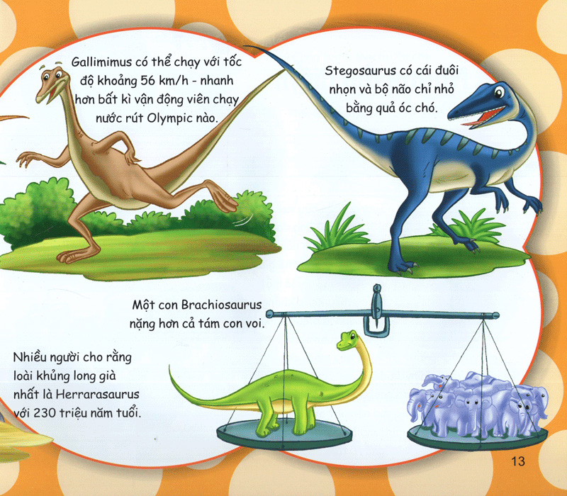 những điều kỳ thú - kiến thức thú vị - Ảnh 13