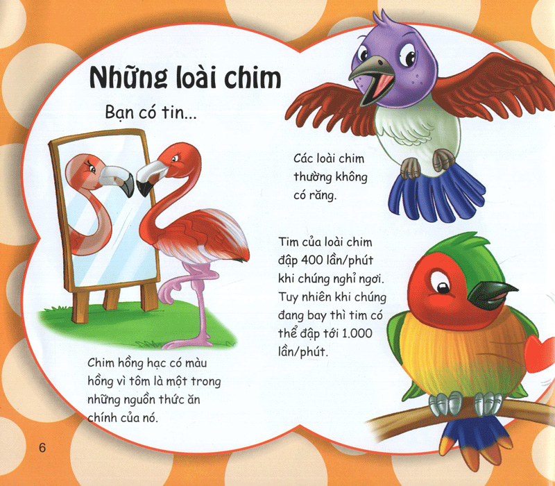 những điều kỳ thú - kiến thức thú vị - Ảnh 6