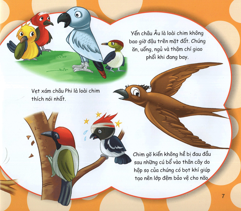 những điều kỳ thú - kiến thức thú vị - Ảnh 7