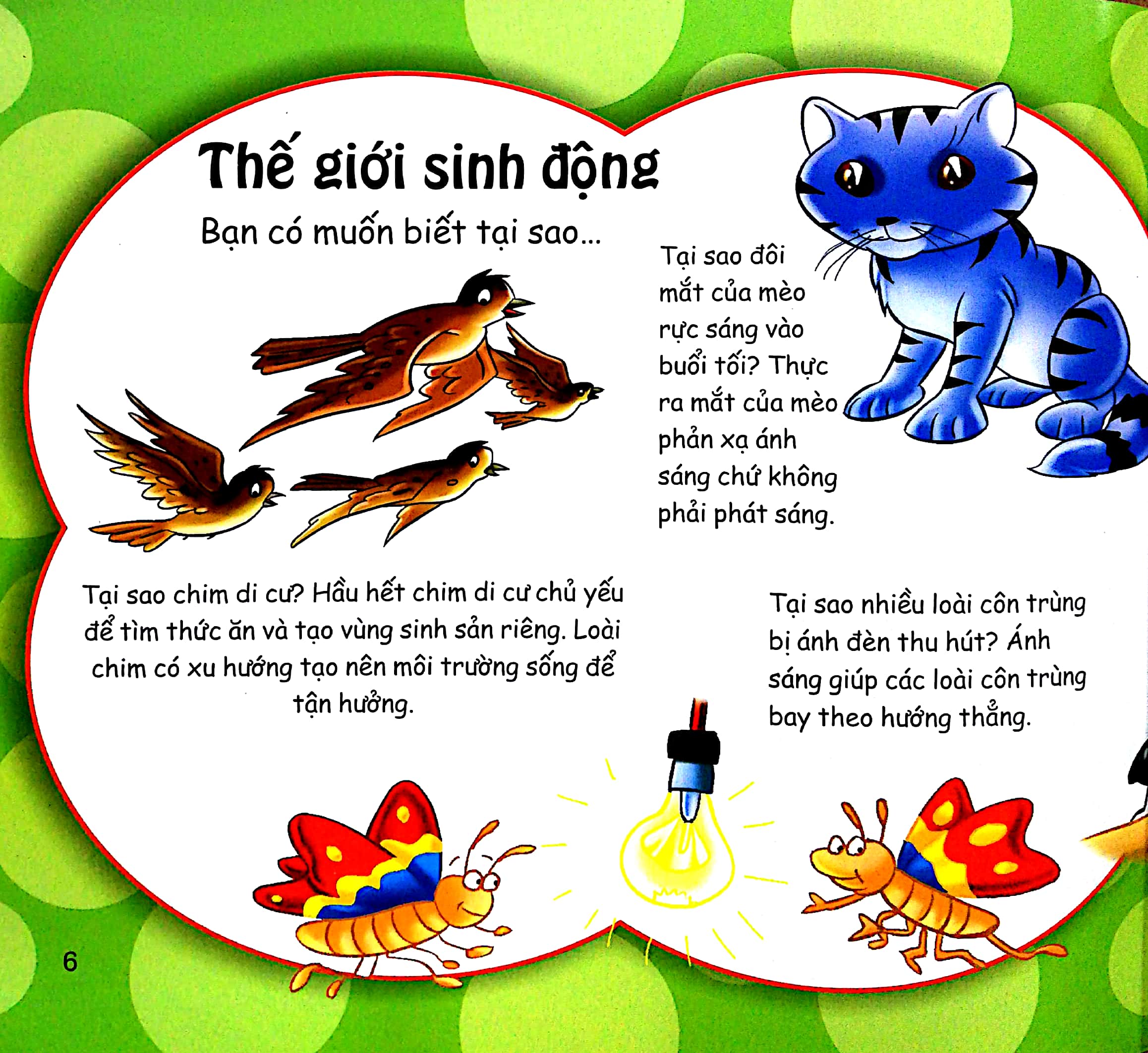 những điều kỳ thú - thắc mắc tại sao? - Ảnh 4