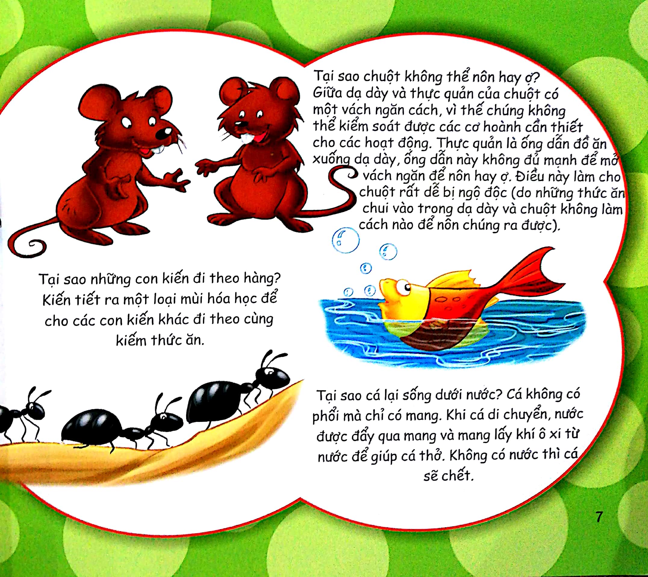 những điều kỳ thú - thắc mắc tại sao? - Ảnh 5